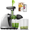 AMZCHEF Kaltpress Entsafter Maschine - Langsamer Entsafter für Obst und Gemüse - Schonende Saftpresse mit zwei Bechern und Reinigungsbürste - BPA-frei, Farbe: Kaltgrau