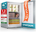 Stillstern Kompakter Mini-Gefrierschrank 42L, -18°C, inklusive Eiswürfelform und Schloss, Wechselbarer Türanschlag, 4-Sterne Tiefkühlqualität, Ideal für Camping und Büro, Silber